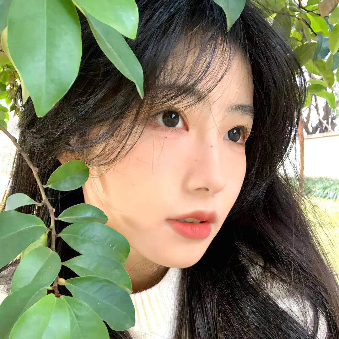 狐仙