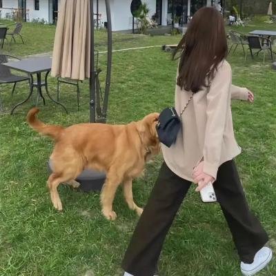 滇西往事
